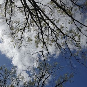 Meet your Posher, T,k,m